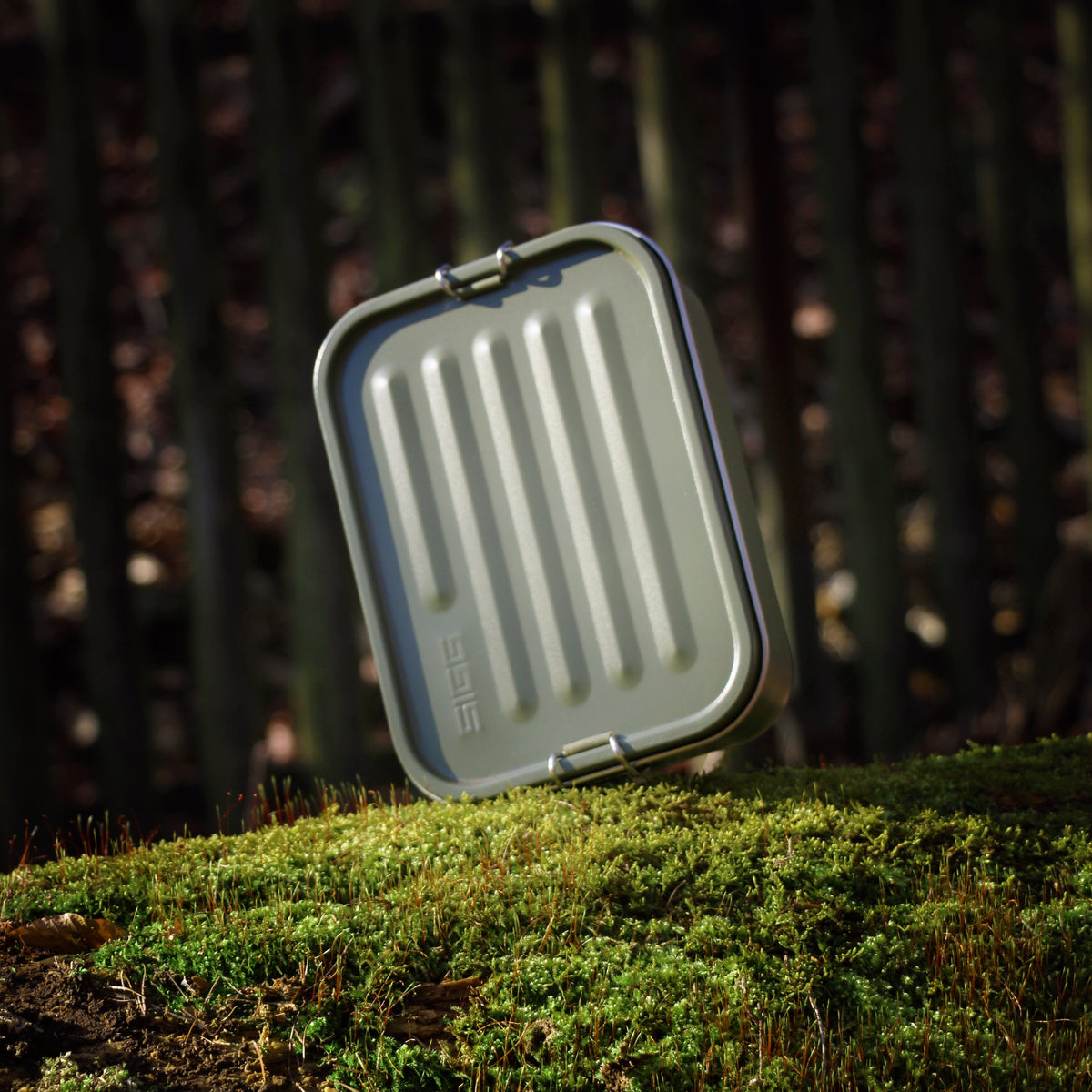 SIGG Gemstone Food Box Roasted Green 1,1L Lifestyle Foto